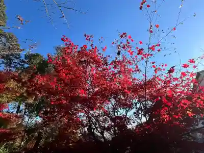 善水寺(滋賀県)