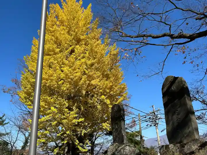 安良居神社(長野県)