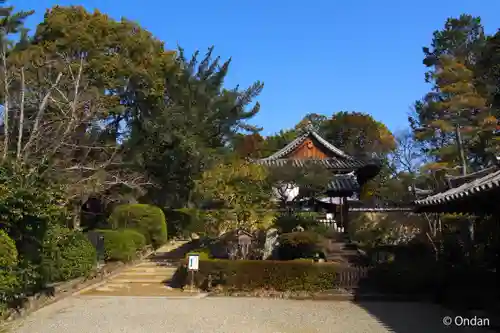 唐招提寺(奈良県)