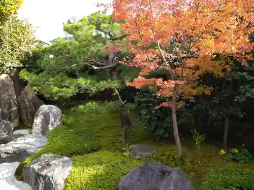 霊源院（建仁寺塔頭）の庭園