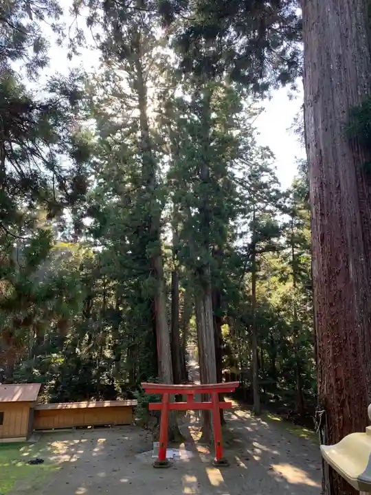 三島神社の自然