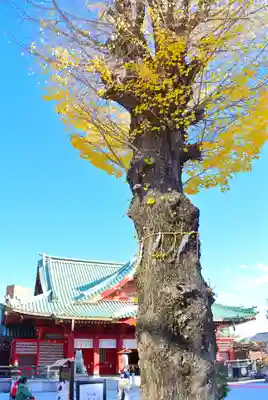 神田神社（神田明神）(東京都)