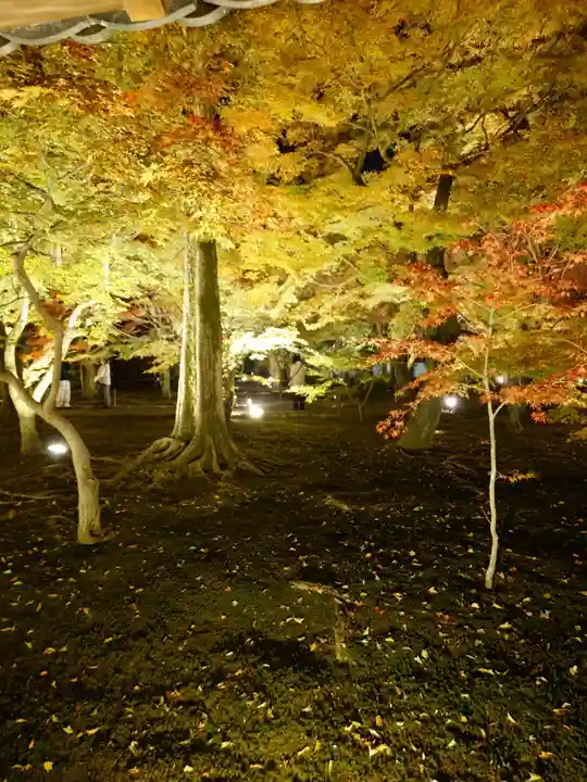 東福禅寺(東福寺)(京都府)