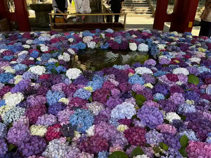 太宰府天満宮の手水舎