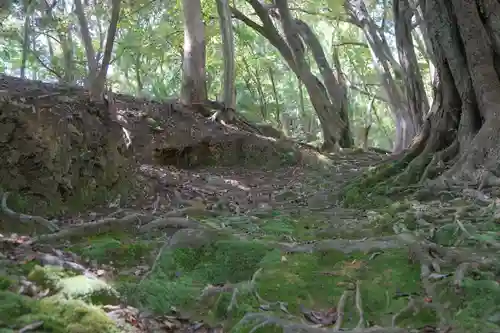 補陀洛山寺の自然