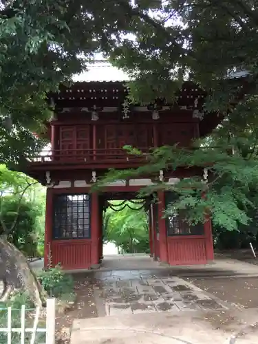 本土寺の山門・神門