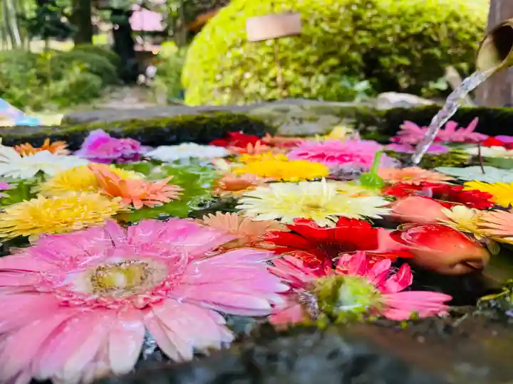 柳津虚空蔵尊 寳性院の手水舎