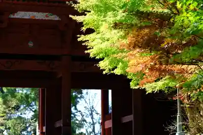 壇上伽藍(和歌山県)