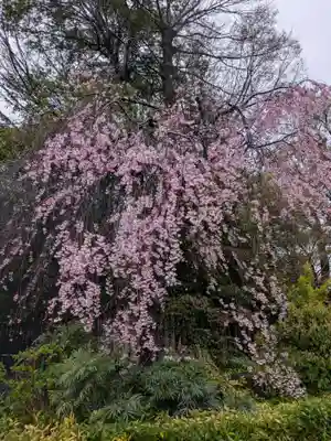 阿佐ヶ谷神明宮(東京都)