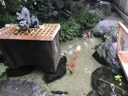 厳嶋神社の手水