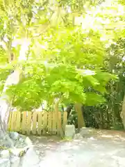 牛窓神社の自然