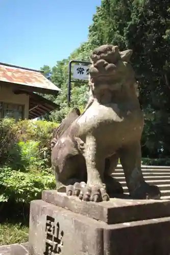 常磐神社の狛犬