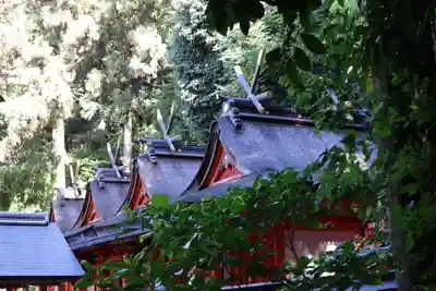 枚岡神社(大阪府)