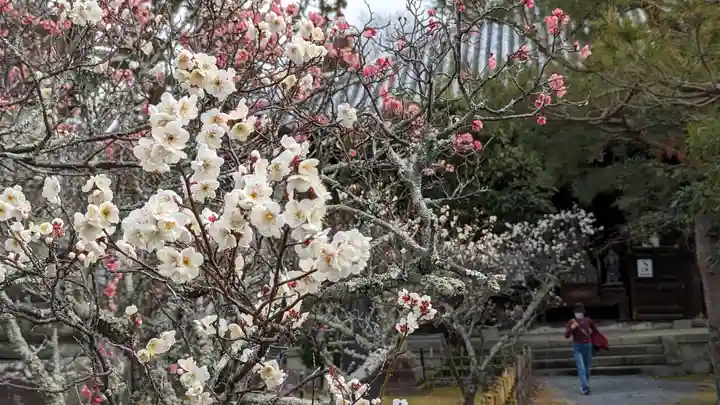 清凉寺(京都府)