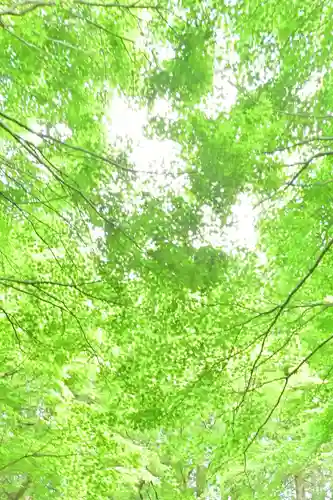 国上寺(新潟県)