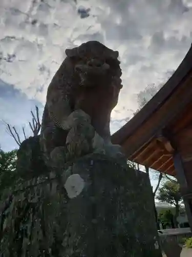 多賀神社の狛犬