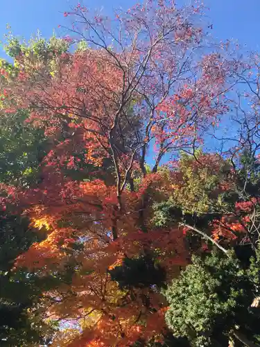 福住厳島神社の自然