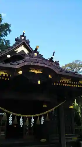 玉敷神社の本殿