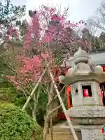 鶴若稲荷神社の{uncategorized: "未分類", other: "その他", undefined: "問題あり", building: "その他建物", grave: "お墓", sacred_gate: "鳥居", guardian: "狛犬", statue: "像", buddha: "仏像", history: "歴史", nature: "自然", garden: "庭園", animal: "動物", pagoda: "塔", temizu: "手水舎", mountain_gate: "山門・神門", sanctuary: "本殿・本堂", subordinate: "末社・摂社", art: "芸術", scenery: "景色", jizo: "地蔵", ema: "絵馬", goshuin: "御朱印", omikuji: "おみくじ", items: "授与品その他", amulet: "お守り", goshuincho: "御朱印帳", eats: "食事", festival: "お祭り", votive_dance: "神楽", shichigosan: "七五三参", wedding: "結婚式", experience: "体験その他", initially: "初詣", around: "周辺", anti_infection: "感染症対策"}