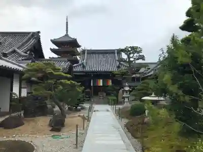 圓通寺の本殿・本堂