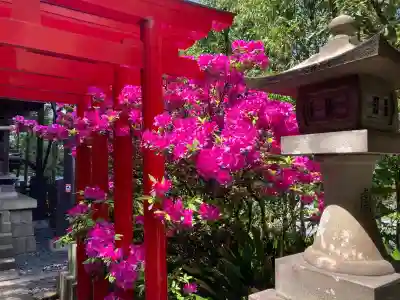 日電玉川稲荷神社の{uncategorized: "未分類", other: "その他", undefined: "問題あり", building: "その他建物", grave: "お墓", sacred_gate: "鳥居", guardian: "狛犬", statue: "像", buddha: "仏像", history: "歴史", nature: "自然", garden: "庭園", animal: "動物", pagoda: "塔", temizu: "手水舎", mountain_gate: "山門・神門", sanctuary: "本殿・本堂", subordinate: "末社・摂社", art: "芸術", scenery: "景色", jizo: "地蔵", ema: "絵馬", goshuin: "御朱印", omikuji: "おみくじ", items: "授与品その他", amulet: "お守り", goshuincho: "御朱印帳", eats: "食事", festival: "お祭り", votive_dance: "神楽", shichigosan: "七五三参", wedding: "結婚式", experience: "体験その他", initially: "初詣", around: "周辺", anti_infection: "感染症対策"}