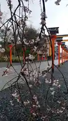 平野神社の自然