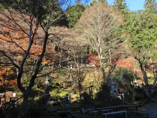 乾徳寺の庭園