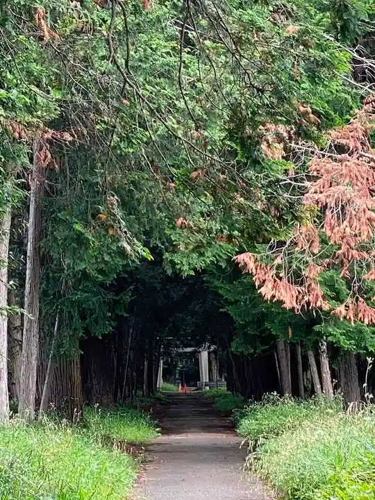 夷針神社のその他建物