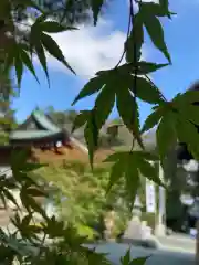 比々多神社の自然