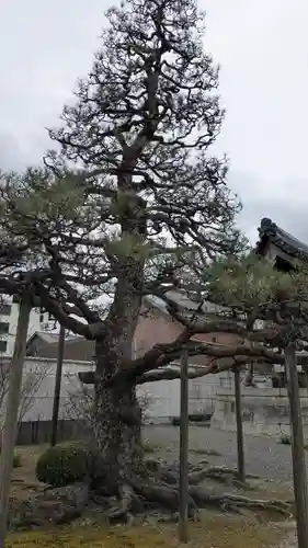 本福寺(滋賀県)