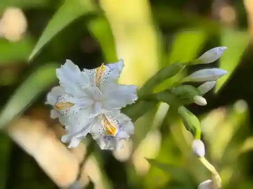 西方山極楽寺(岐阜県)