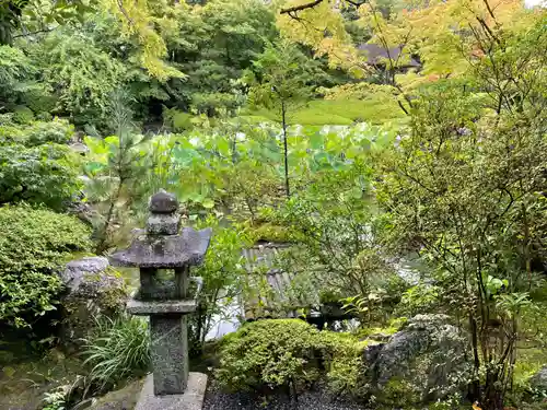 退蔵院(京都府)
