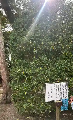 息栖神社(茨城県)
