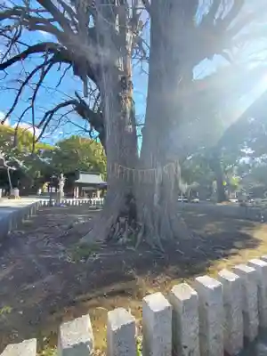 鑁阿寺(栃木県)