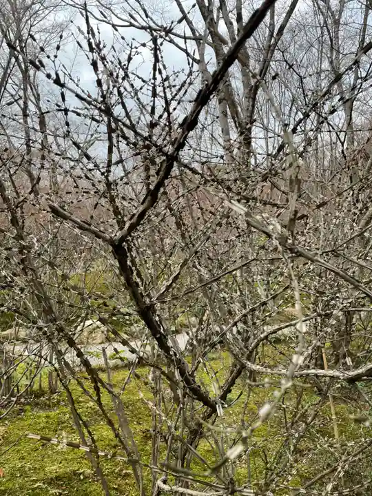 宝筐院(京都府)