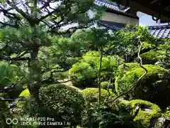 穴太寺の庭園