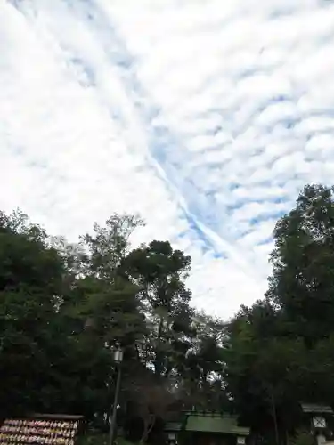 櫻木神社(千葉県)