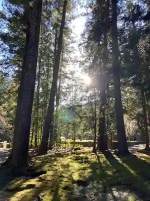 熊野本宮大社の{uncategorized: "未分類", other: "その他", undefined: "問題あり", building: "その他建物", grave: "お墓", sacred_gate: "鳥居", guardian: "狛犬", statue: "像", buddha: "仏像", history: "歴史", nature: "自然", garden: "庭園", animal: "動物", pagoda: "塔", temizu: "手水舎", mountain_gate: "山門・神門", sanctuary: "本殿・本堂", subordinate: "末社・摂社", art: "芸術", scenery: "景色", jizo: "地蔵", ema: "絵馬", goshuin: "御朱印", omikuji: "おみくじ", items: "授与品その他", amulet: "お守り", goshuincho: "御朱印帳", eats: "食事", festival: "お祭り", votive_dance: "神楽", shichigosan: "七五三参", wedding: "結婚式", experience: "体験その他", initially: "初詣", around: "周辺", anti_infection: "感染症対策"}