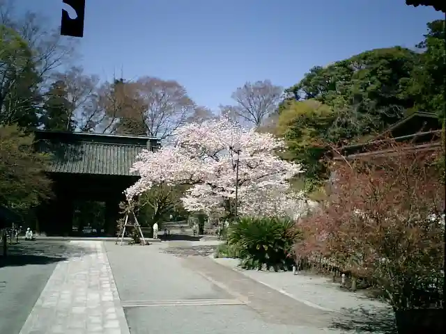 妙本寺のその他建物