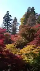 珍蔵寺　(山形県)