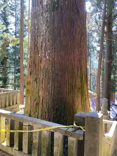 恵那神社の自然