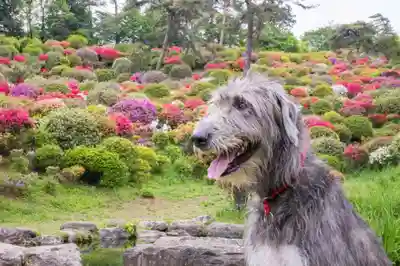 塩船観音寺(東京都)