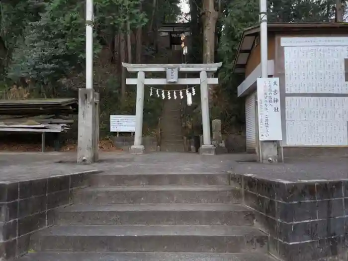 大宮神社の鳥居