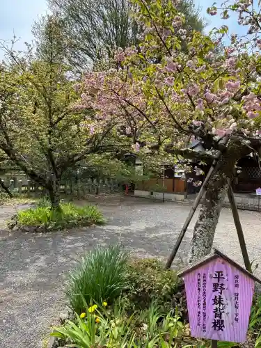 平野神社(京都府)