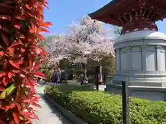 浅草寺(東京都)