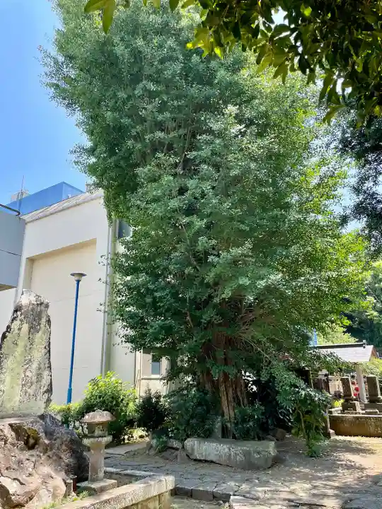 久翁寺(神奈川県)