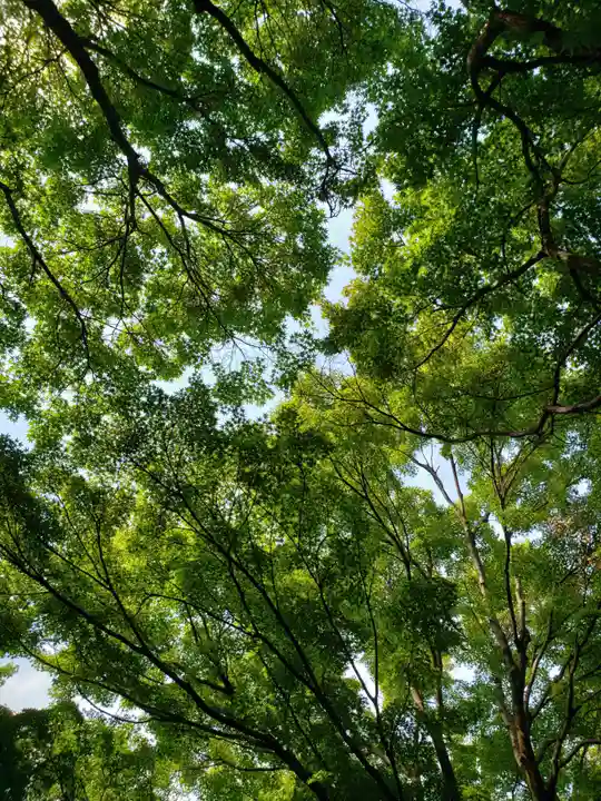 高円寺(東京都)