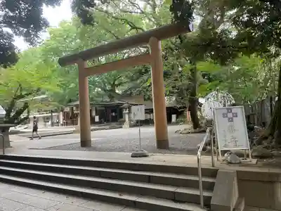 乃木神社の鳥居