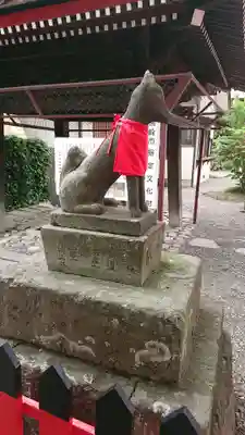 於菊稲荷神社の狛犬