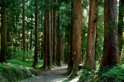 八海神社(新潟県)